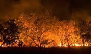 Uno de los tantos incendios desatados en Rio