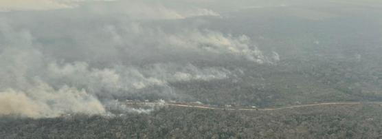 Incendios forestales realizados por dueños de campos