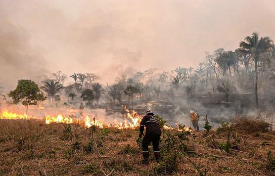 Incendio forestal en las cercanias de Santa Cruz de la Sierra