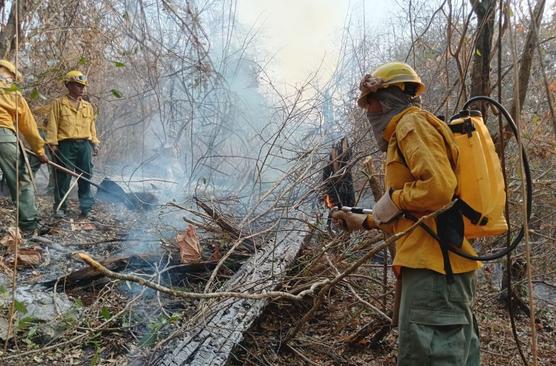 La mayoría de los incendios fueron provocados por particulares