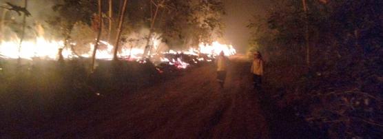 Incendios en las cercanías de las casas en Santa Cruz