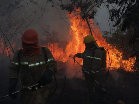 Los incendios forestales producto del accionar criminal de terratenientes