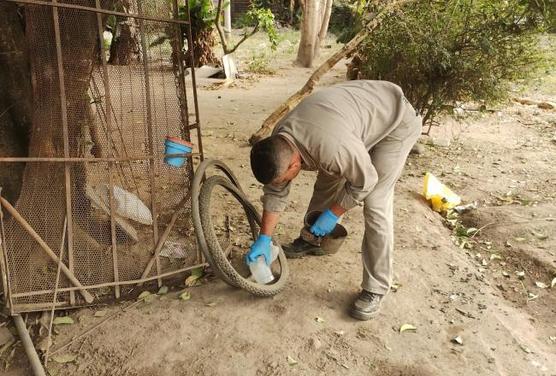 Prevención del dengue 