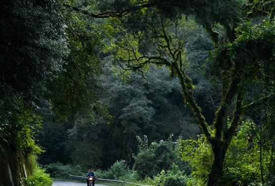 Las yungas impactantes de Tucumán