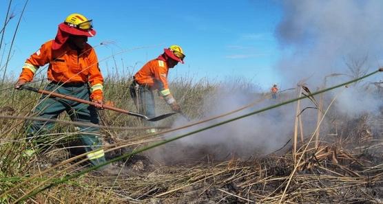 Los incendios forestales son provocados por particulares