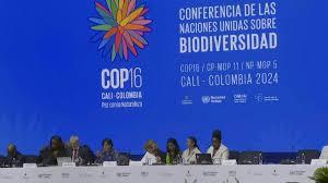 La ministra de Medio Ambiente de Colombia y presidenta de la cumbre COP16, Susana Muhamad, estrecha la mano de  Huang RunqiuAFP 