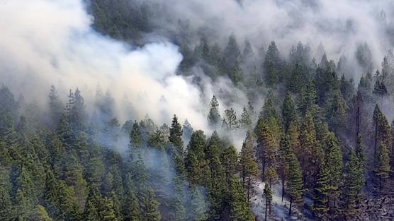 Incendio en el Parque Nacional Cajas, en Cuenca, Ecuador