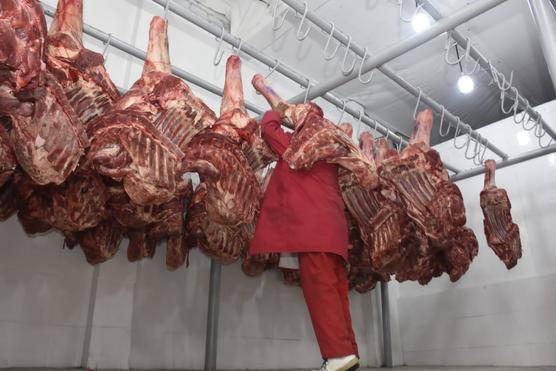 El año 2023 el país exportó carne bovina por un valor de $us 136 millones.