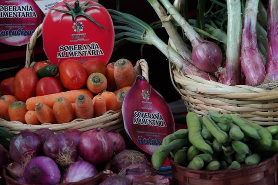 La producción de verduras seriamente afectada por las lluvias