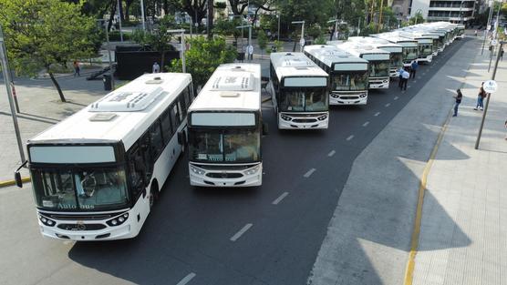 Colectivos nuevos