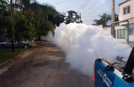 Fumifación