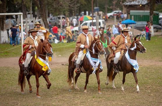 Concurso de caballos de paso